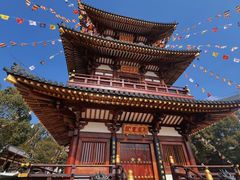 -庐山风景名胜区-东林大佛