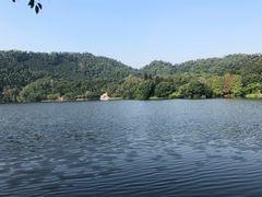 -深圳仙湖植物园-停车场