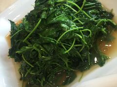 -阿莉餐厅(枣阳路店)