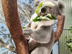 -费瑟代尔野生动物园