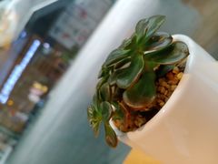 -爱玩嘉年华(江北一店)