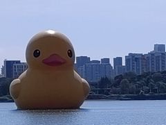 -深圳人才公园