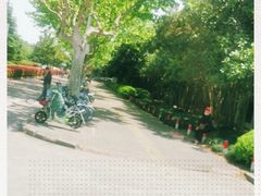 -上海市第一人民医院(松江南部)