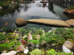 -罗红摄影艺术馆