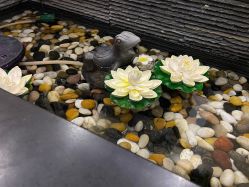 -芳朵美容养生SPA