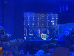 -上和臻品中国菜(花园街店)