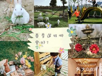 不知不觉春天就已经到了，而且疫情结束，还不快带宝宝出