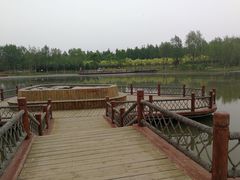 -东郊湿地公园