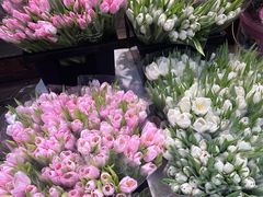 -循礼门鲜花花市(武汉循礼门店)