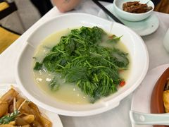 浓汤桑叶苗-五谷芳乳鸽王(海景店)