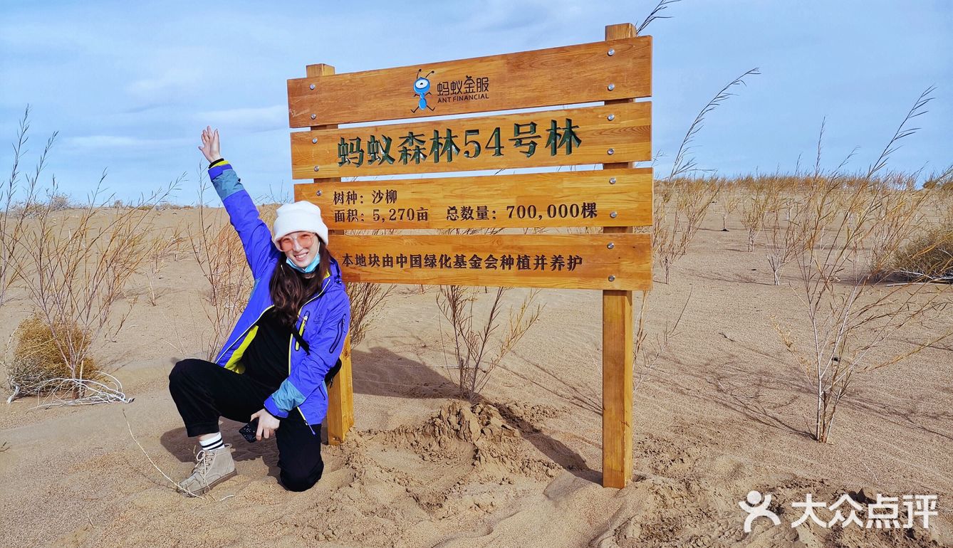 蚂蚁森林小树苗我来啦[调皮]