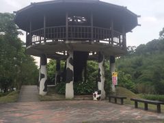 -瑞穗牧场