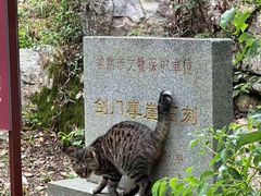 -虞山风景区