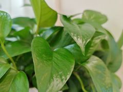 -中国建设银行(北京中关村分行)