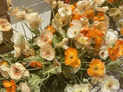 -川岛屋·KAWASIMAYA·咖啡简餐