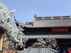 -灵谷景区