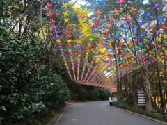 -广州市帽峰山景区