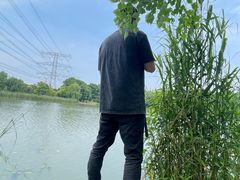 -九里河湿地公园
