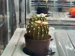 -The Lounge大堂酒廊·咖啡·沙拉·下午茶(金茂深圳JW万豪酒店)