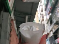 -洪馨椰子