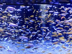 -成都浩海立方海洋公园