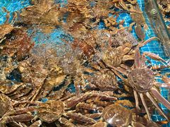 -巧克力渔家.小船海鲜胶东菜(万平口店)