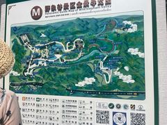 -野象谷景区