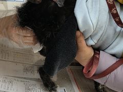 -德元·美联众合24小时动物医院(总院)