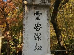 -灵谷景区