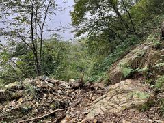 -九峰山