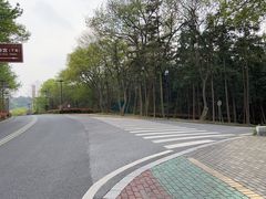 -句容茅山景区