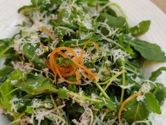 章鱼芝麻菜茴香色拉-夏朵餐厅(丁香店)