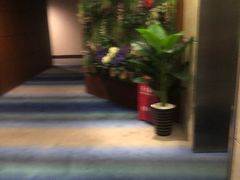 -上海浦东华美达大酒店