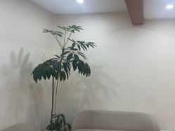 -HEYAN荷妍专业脱毛连锁机构