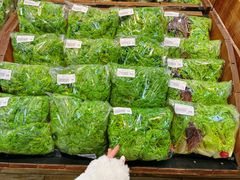 -果蔬好生活超市(新荟城店)