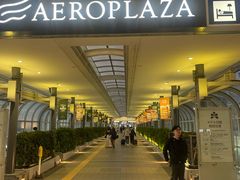 -关西国际机场直营免税店
