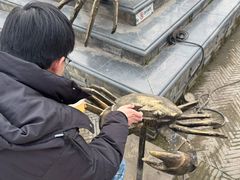-高淳老街
