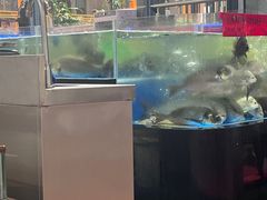 -明本湛江鸡•海鲜小厨(陈家祠店)