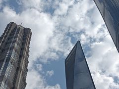 -上海柏悦酒店·世纪100牛排馆