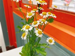 -橘酱餐厅