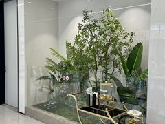 -深圳麦芽口腔医院(罗湖总院)