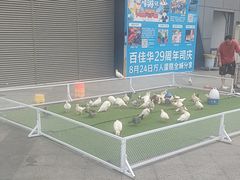 -百佳华佳漾里(坂田店)
