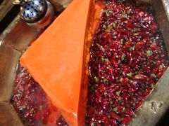 牛油锅-蜀九香火锅(彩虹店)