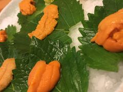 鲜活海胆-王鼎精致料理铁板烧(世博源店)