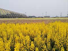 -中国天府农业博览园