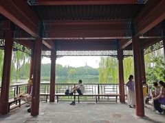 -北坞公园