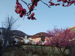 -泰安东尊华美达广场酒店(泰山景区店)