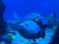 -海合安青岛极地海洋公园