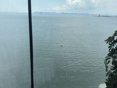 -渔公码头·九龙湾国际饭店