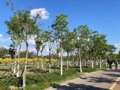 -天津东丽湖风景区